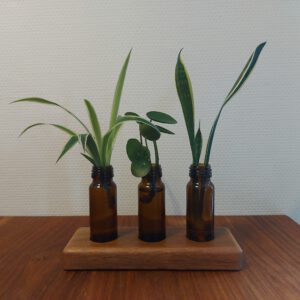 3 Stekvaasjes/bloemenvaasjes in hardhouten houder.