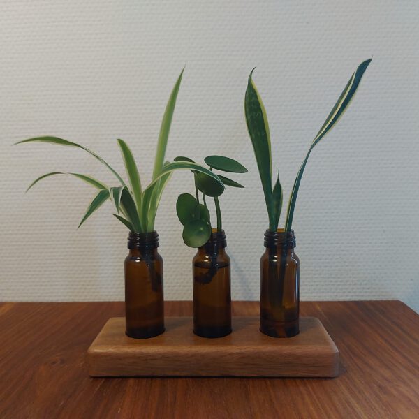3 Stekvaasjes/bloemenvaasjes in hardhouten houder.