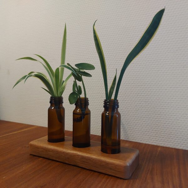 3 Stekvaasjes/bloemenvaasjes in hardhouten houder. - Afbeelding 2
