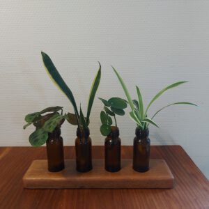 4 Stekvaasjes/bloemenvaasjes in hardhouten houder.