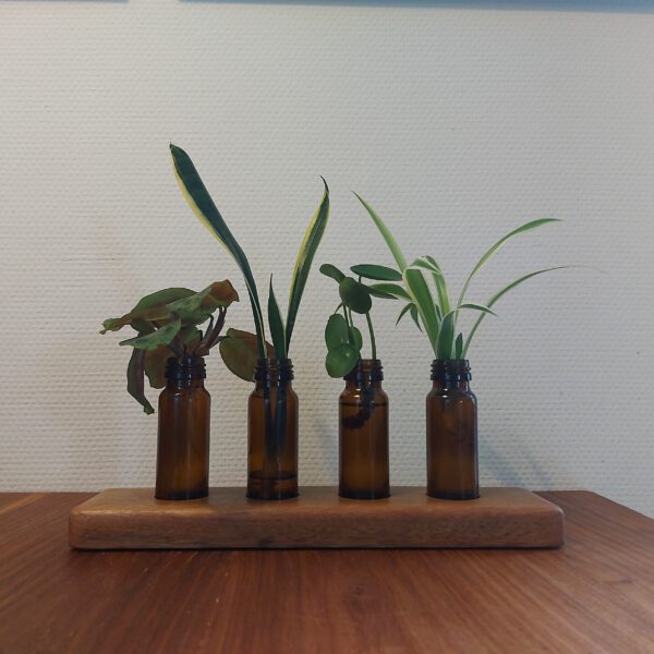 4 Stekvaasjes/bloemenvaasjes in hardhouten houder. - Afbeelding 3