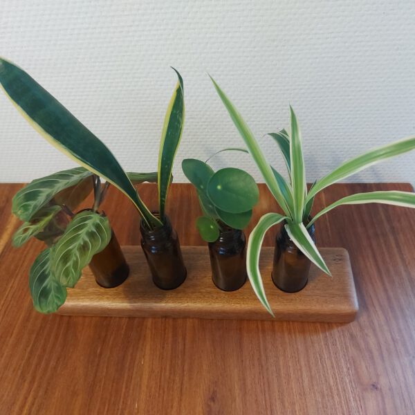 4 Stekvaasjes/bloemenvaasjes in hardhouten houder. - Afbeelding 2